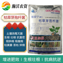 农用枯草芽孢杆菌根腐病枯萎病土壤病害专用杀菌剂根腐宁 500g