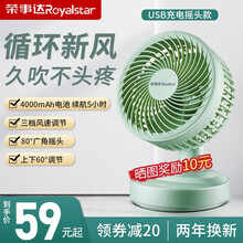荣事达（Royalstar）空气循环扇电风扇家用智能风扇办公室低噪小台式电风扇宿舍学生风扇 绿色充电摇头款【店长推荐】