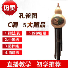 滇南丝韵葫芦丝乐器初学C调降B调小d调G调F调小学生儿童成人入门 孔雀图普通款c调【无盒无教程】