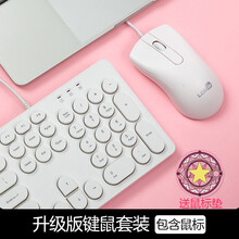 雷迪凯  机械手感键盘可爱女生 键盘鼠标有线套装 台式笔记本电脑办公键鼠套装 USB复古朋克键盘 1900套装-简约白