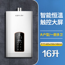 史密斯.劳伦燃气热水器家用煤气零冷水恒温AI 16升智能恒温自己安装 液化石油气