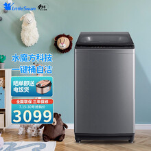 小天鹅（LittleSwan）水魔方全自动波轮洗衣机 防缠绕 纳米银离子除菌 10公斤TB100-6388WACLY 巴赫银