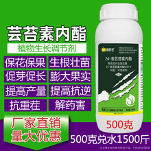 芸苔素内脂酯高效促根壮苗保花保果叶面肥农药云台生长调节剂 10g