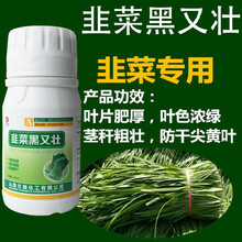 韭菜黑又壮 韭菜专用叶面肥料黑粗长营养液防干尖黄叶死苗烂根生根壮苗抗倒伏 200ml*5瓶