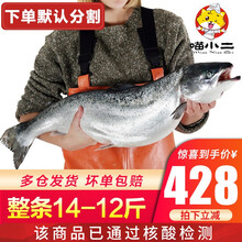 国际	喵小二 智利三文鱼整条（大西洋鲑）7.0-6.0kg/条 新鲜冷冻刺身即食 免费分割