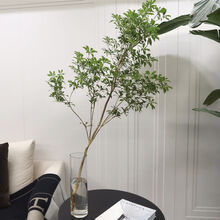 公鹤（MaleCrane）室内水培吊钟盆栽植物在树下树苗精选鲜切马醉木绿植枝条 100-110cm送60-70cm一支 +在树下卡 裸根不带土
