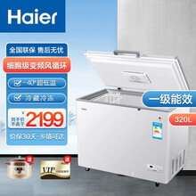 海尔（Haier）大冰柜家用 商用冷柜 冷藏冷冻-40度超低温卧式大容量 320L脚轮+食品筐