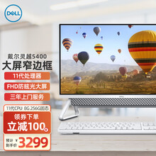戴尔(DELL)灵越5400一体机IPS微边框大屏11代CPU办公商用家用网课前台电脑23.8英寸 白色 11代 G7505 核显 8G 1T固态 定制