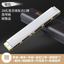 国光口风琴 24孔复音 重音C调初学者中老年人成人儿童学生专业演奏级入门口风琴乐器 星空银|宽音域-复音28孔+自学礼包+视频教程