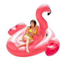Disney/迪士尼同款成人水上坐骑火烈鸟游泳圈玩具儿童独角兽浮排泳池充气浮床 (特惠款)大白天鹅坐骑(收藏送电泵)
