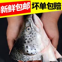 三文鱼头鱼头新鲜超大个炖汤煲鱼头汤烧烤海鲜水产 三文鱼头2只装