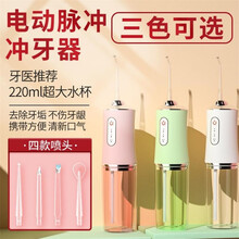 璐瑶电动冲牙器家用便携式 超声波牙结石去除器 儿童清洁口腔洗牙器水牙线冲洗器洁牙器牙套清洗 雅白