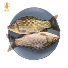 猫扑鱼 微山湖生态鲫鱼(净膛) 淡水鱼现捕现杀 生鲜 老人孕产妇炖汤营养 小鲫鱼1斤装（4-6条）