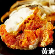 活鲜【冷链运输】大闸蟹鲜活体现货六月黄 特大公母螃蟹1.3-6两礼盒装罗莫利得 款【2.0-2.5两】12只鲜