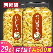 杭白菊花菊花茶去火胎菊清热野生小胎罐装凉茶降火明目花茶