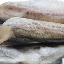 鳕鱼整条海鲜水产冷冻无头鱼银狭鳕鱼东北明太鱼海鱼雪鱼 十斤装