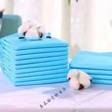 狗狗尿垫宠物尿不湿泰迪尿片猫咪尿布加厚隔尿垫仓鼠兔纸尿垫清洁 搭啵兔 S码33*45【吸收款】20片