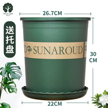 漫生活 高款5加仑花盆1只装(含托盘)花盆 家用办公阳台种植多肉花卉绿萝绿植营养土花盆加仑塑料圆形花盆