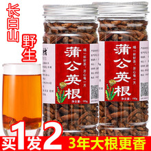 【京选推荐】蒲公英根茶叶长白山浦公英根红茶婆婆丁纯