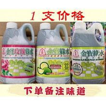 金宝绿水 金宝拖地金宝钟地板清洁剂地板水超浓缩薄荷味