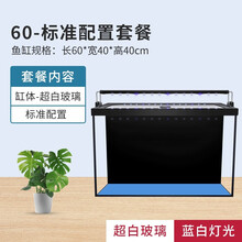 【破损包赔】唐宠 鱼缸水族箱桌面生态缸免换水背滤测滤懒人造景小套缸多层干湿分离超白金晶家用客厅缸 w60超白背滤鱼缸【标准配置】预售10天