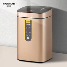 超邦（caovbam）智能感应垃圾桶家用带盖自动大号客厅厨房卧室卫生间干湿分类垃圾桶 GC23112-12L香槟金