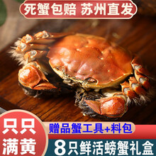 【活蟹】8只阳澄东湖大闸蟹鲜活螃蟹现货海鲜水产礼盒装 全公蟹：4.0-4.3两（8只）