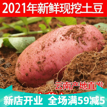 云南新鲜高原红皮黄心土豆 大果9斤农家自种有机马铃薯 2500g