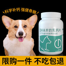 巧豆柯基专用钙片 狗狗小型犬幼犬立耳成犬老年微量元素健骨补钙