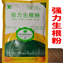 生根粉大树移栽生根粉扦插生根粉生根剂苗木扦插生根液大包装 500克新