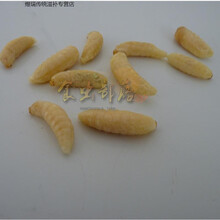 新鲜蜂蛹马蜂蛹胡蜂地蜂树蜂虎头蜂蛹生鲜冷冻发货一斤顺丰 一斤一级小蜂蛹