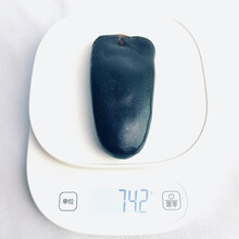 【鲜寻家】鹿尾巴 马鹿尾巴干30-70克可选 鹿尾巴精 整只壮鹿尾吉林双阳 马鹿尾74.2克/只