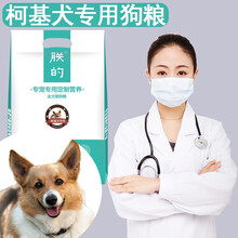 【柯基犬专用狗粮】10斤5斤朕的狗粮幼犬成犬美毛亮毛补钙去泪痕天然粮主粮柯基狗粮柯基犬狗粮奶糕 10斤