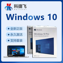 Win10正版windows10家庭版/专业版/企业版WIN10软件windows10软件系统 无票 Win10专业版【密钥发邮箱】