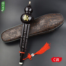 竹林丰 葫芦丝防摔胶木c调降b调防摔葫芦丝初学演奏民族乐器可拆卸 防摔胶木黑色C调+琴包+全套配件+教学资料