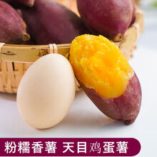 骄瑰 5斤鸡蛋薯新鲜红薯临安天目山小香薯板栗小番薯地瓜板栗红薯 2500g