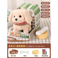 【七夕礼物】儿童玩具 儿童电动毛绒玩具狗狗走路会叫会走宝宝男孩女孩仿真电子宠物小狗 金毛【彩色小屋+狗盆+骨头+狗绳】 电池款【送电池+螺丝刀】