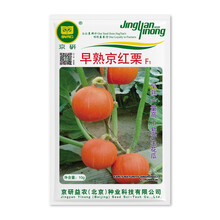 北京农科院京研早熟京红栗南瓜种子红皮贝贝南瓜板栗南瓜甜面口感露地大棚四季播蔬菜种籽优质抗病