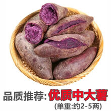 紫薯新鲜紫心红薯地瓜板栗番薯 【5斤装】中大薯