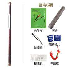 杉贝 SHANBEI 巴乌乐器横吹竖吹小学生成人儿童初学者入门抖音同款 巴乌横吹G调+六大
