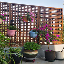 防腐木栅栏网格护栏围栏庭院装饰户外花园室外篱笆隔断爬藤木花架 方网格碳化90*150