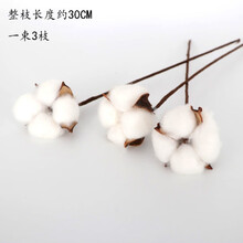 ins风干花花束家居摆设小清新客厅插花网红装饰品满天星永生花 白色 三支棉花 干树枝