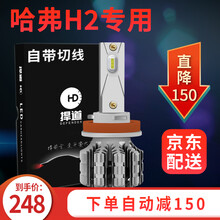 捍道 适用于哈弗h6led大灯h2近光灯H5风骏哈佛H1 M6 H7运动版炮远光灯泡远近一体 H2红标（近光）一对