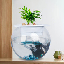 鱼水济 小鱼缸金鱼缸家用客厅鱼缸小型桌面创意鱼缸水培植物容器 25CM玻璃鱼缸+过滤盒+水泵+滤材+绿植