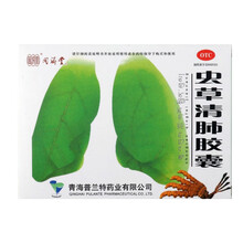 同济堂 虫草清肺胶囊0.3g*12粒*2板润肺补气清肺化痰平喘咳嗽痰多气喘胸闷慢性支气管炎清热