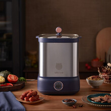 小熊（Bear）肉干机食物烘干机家用腊肉腊肠宠物肉干水果蔬菜脱水风干机 LRJ-C02H1 快速自制腊肉