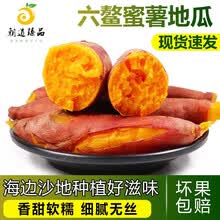福建六鳌蜜薯沙地红薯糖心蜜薯香甜软糯红心地瓜烤红薯现挖现发新鲜蔬菜健康轻食 人工挑选大红薯3斤装