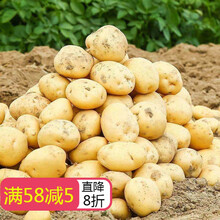 贵州土豆新鲜威宁洋芋发黄心马铃薯农家自种新果现发 净重9斤+五香辣椒面 小果