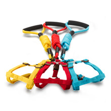 泰迪狗绳小狗绳子牵引绳小型犬猫绳子挣脱家用狗狗柯基背带遛狗 2件套随机色 胸背+绳 M 建议15-35斤