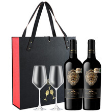 超市	张裕先锋 智利魔狮珍藏佳美娜干红葡萄酒 750ml*2 双支礼盒 智利原瓶进口